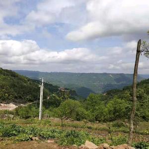 林海听风--来农村头像