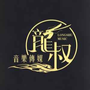 龙叔音乐传媒头像