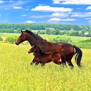 搜索 抖音号:  dyfn7mnbcrh7 关注 私密账号 发起关注请求,通过后即可