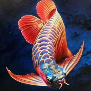 养鱼养心一切淡定头像