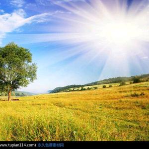 为明天的阳光而灿烂!头像