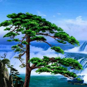 用户1560395006934头像