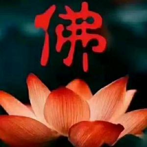 慧觉【妙音】头像