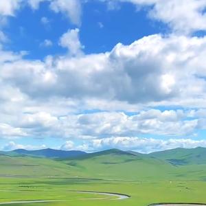 蓝天白云下的茫茫草原头像