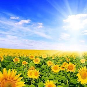 用户1176502631154头像