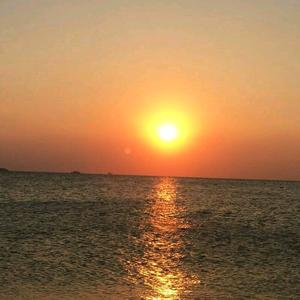 夕阳红头像