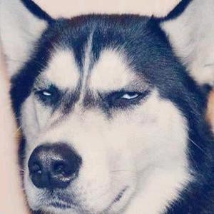 戒酒的李白头像