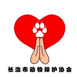 长治市动物保护协会头像