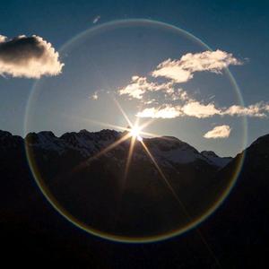 金黄色的麦穗头像