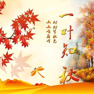 一叶知秋头像