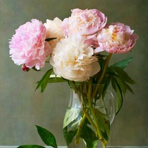 柯家三姑娘,周家三媳妇头像