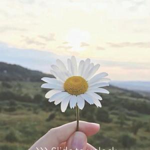 60后的老阿姨头像