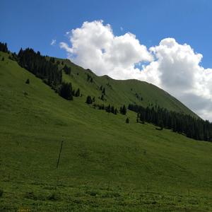 高山草甸图片头像图片