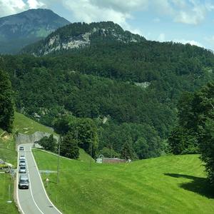 淡然一笑
