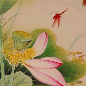 搜索 抖音号:  dylnr0hj3gud 工笔花鸟画 关注 合集 没有数据 作品95