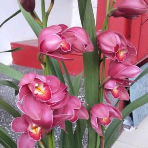 滚滚财运来头像