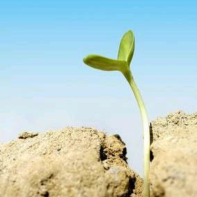 汉阳居然之家5f梵客侠系统门窗头像