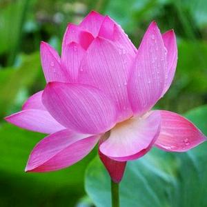 静·婵情感语录头像