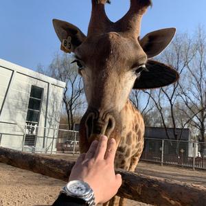 山西汾林旅游(临汾动物园)头像