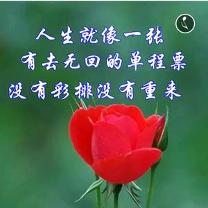 顺其自然 头像