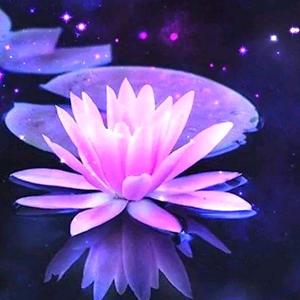 凡尘清心《关赞必回》头像