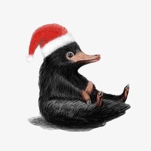 愤怒的鸭嘴兽头像