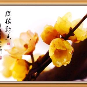 梅&头像