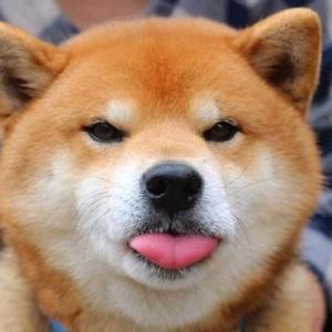 帅气小杰一号头像