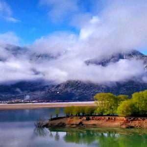 顺其自然～头像