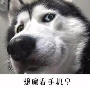 辉少