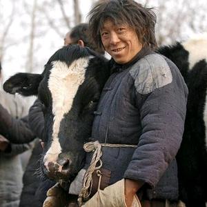 看破红尘头像