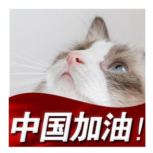 加油武汉头像