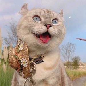 世间美好与我环环相扣头像