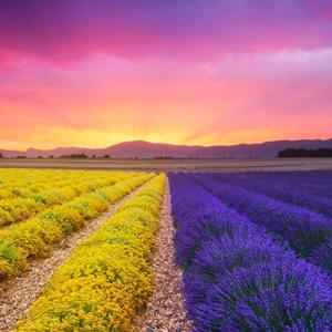 清晨的阳光头像