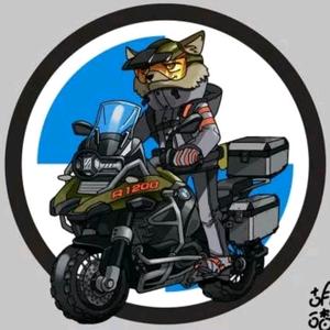 steve的水鸟头像