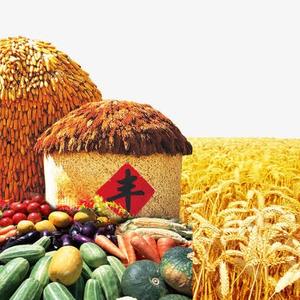 农资青年-今豫粮言头像