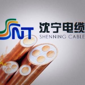 沈宁电缆有限公司头像