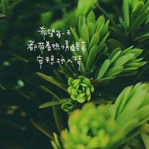 陌上花开 人如玉头像