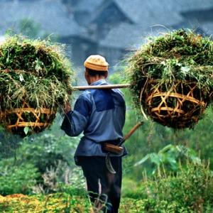 农村人的那些事头像