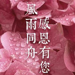 风雨同舟感恩有你头像