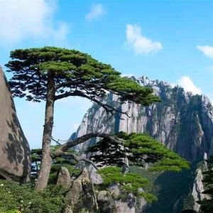 不忘初心小崔头像