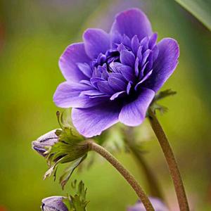 wyykxldx 感恩遇见在抖音平台的每一朋友,我的工作就是大自然的搬运工