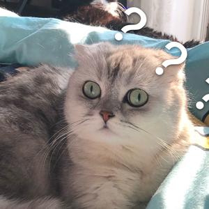 小鱼在发懵的主页 - 抖音