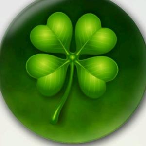 四叶草常乐头像