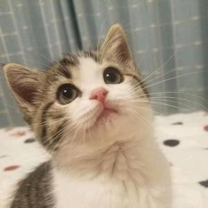 麻花的一家头像