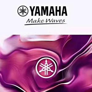 雅马哈钢琴(徐州) 鸣庭文化头像