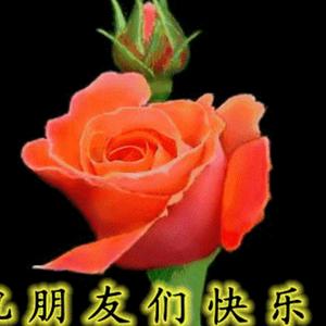 快乐一生头像
