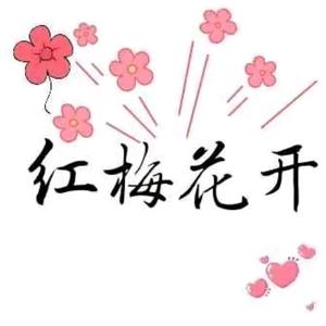 红梅花开头像