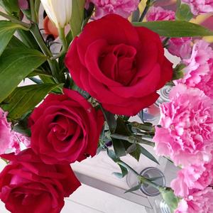 家人平安幸福头像