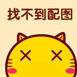 关注 合集 没有数据 作品2  不 